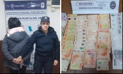 Detienen a una mujer vinculada al robo de un comercio